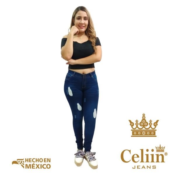 1_Celiin-4.1